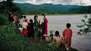 Chris Arsenault: Brazil’s Struggle to Save the Amazon